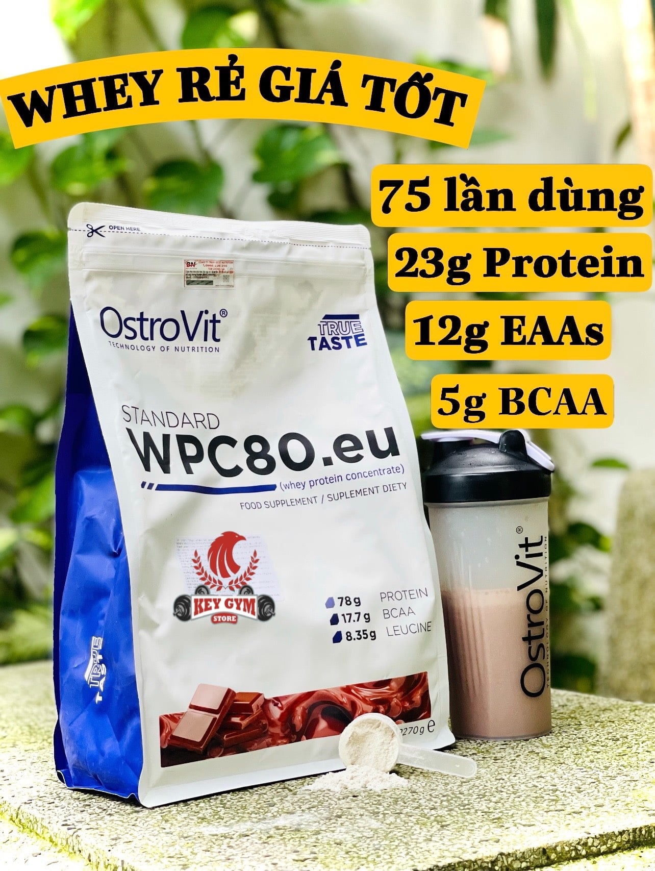 OSTROVIT WHEY PROTEIN CONCENTRATE